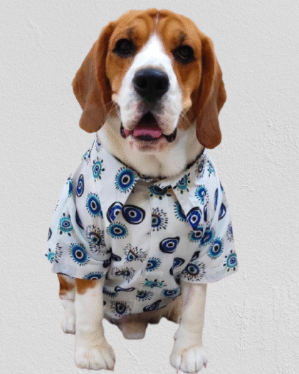 Evil eye shirt for dogs