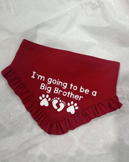 I am going to be Big Brother Frill Bandana
