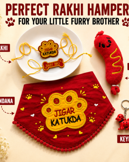 Rakhi Hamper for dogs & hoomans