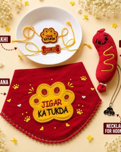 Rakhi Hamper for dogs & hoomans