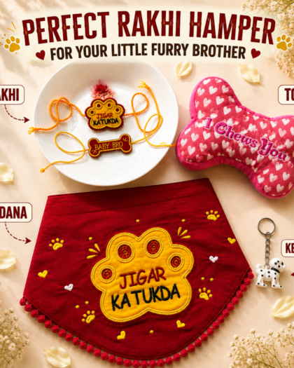 Rakhi Hamper for dogs & hoomans