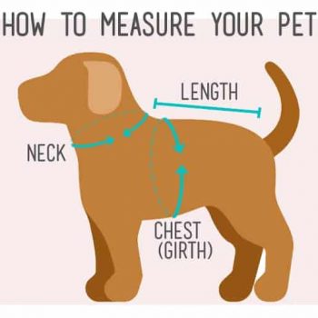 how-to-measure